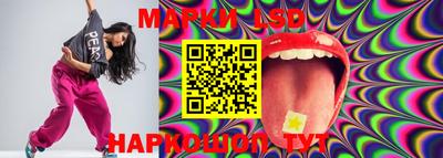 индика Будённовск