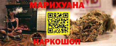 индика Будённовск