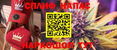 гидропоника Гатчина