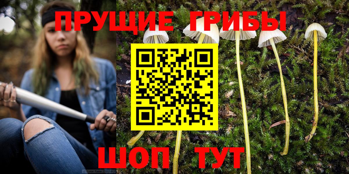 Псилоцибиновые грибы мухоморы Всеволожск