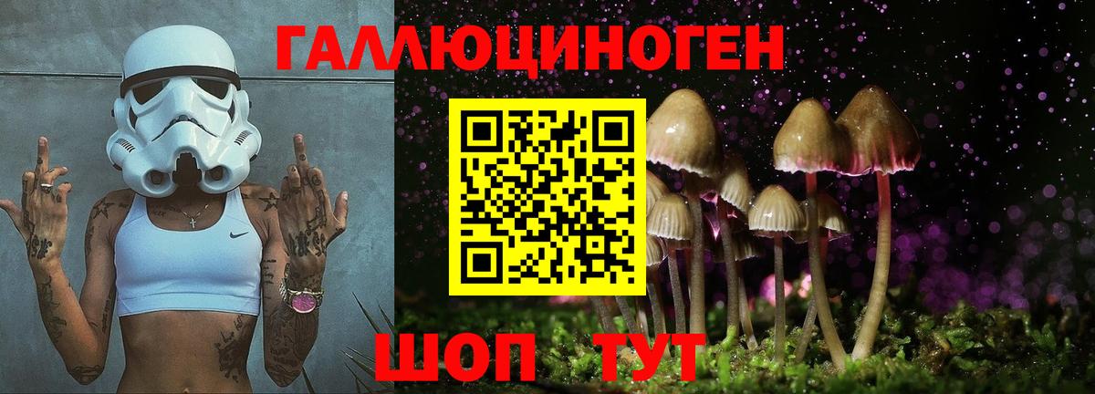 Всеволожск  Галлюциногенные грибы Psilocybine cubensis  Галлюциногенные грибы мицелий  закладки  Вход с VPN 